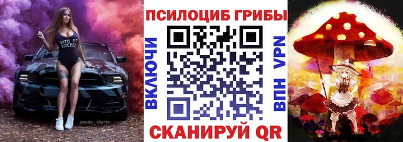 Галлюциногенные грибы Psilocybine cubensis  Купить  Лосино-Петровский 